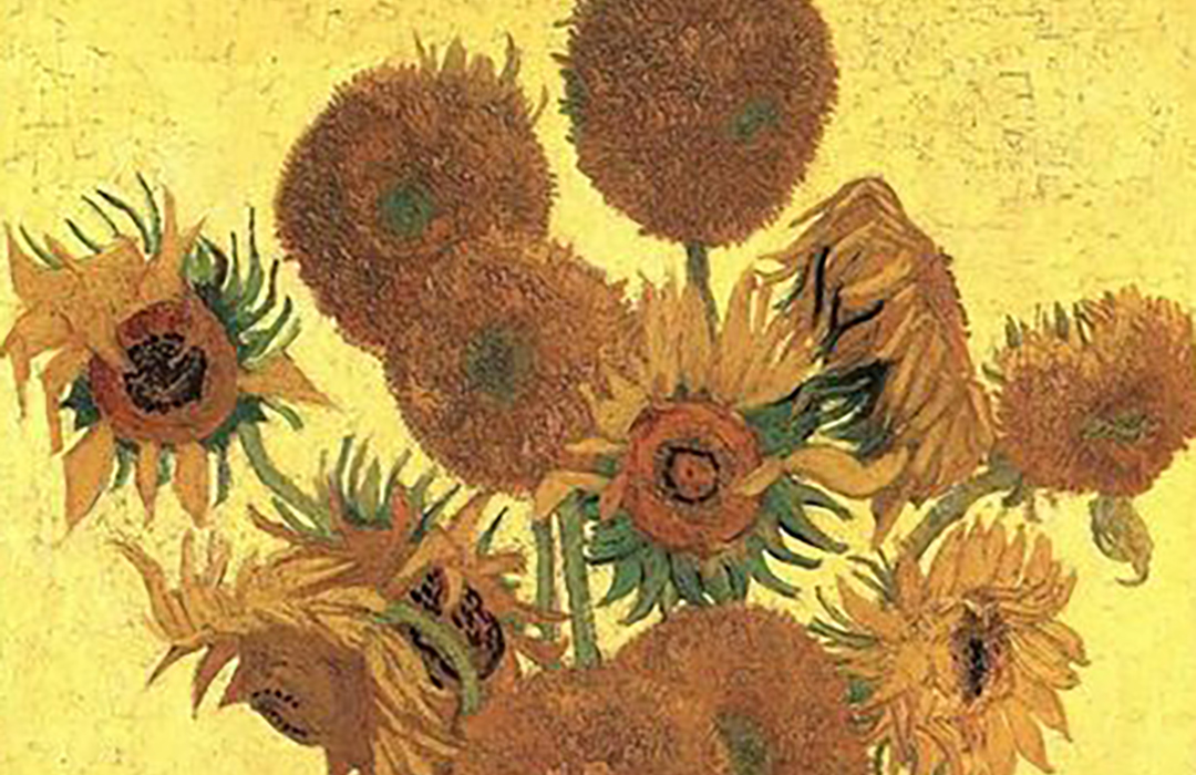 La genètica dels gira-sols de Van Gogh