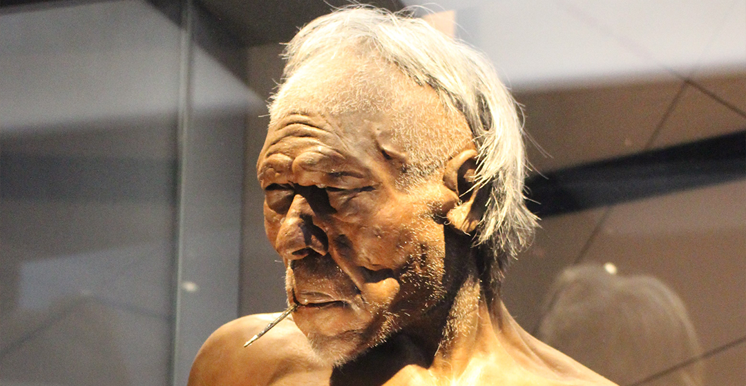 Qiaomei Fu: la científica que va revelar la desaparició dels primers Homo sapiens europeus