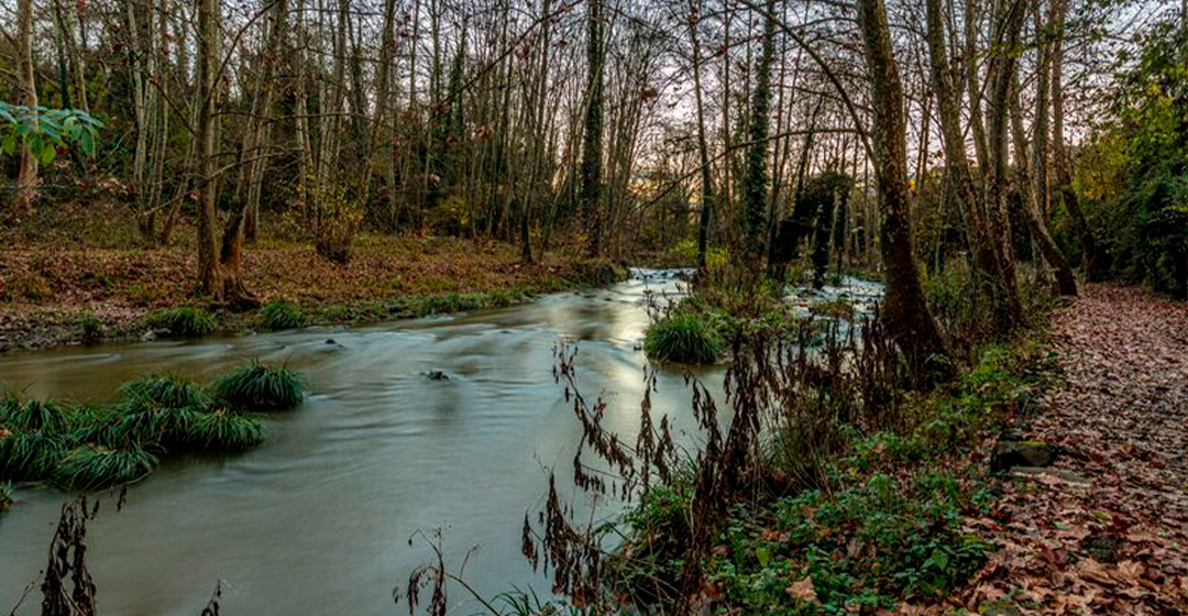Simbiosi Fluvial: un projecte per regenerar el riu Fluvià