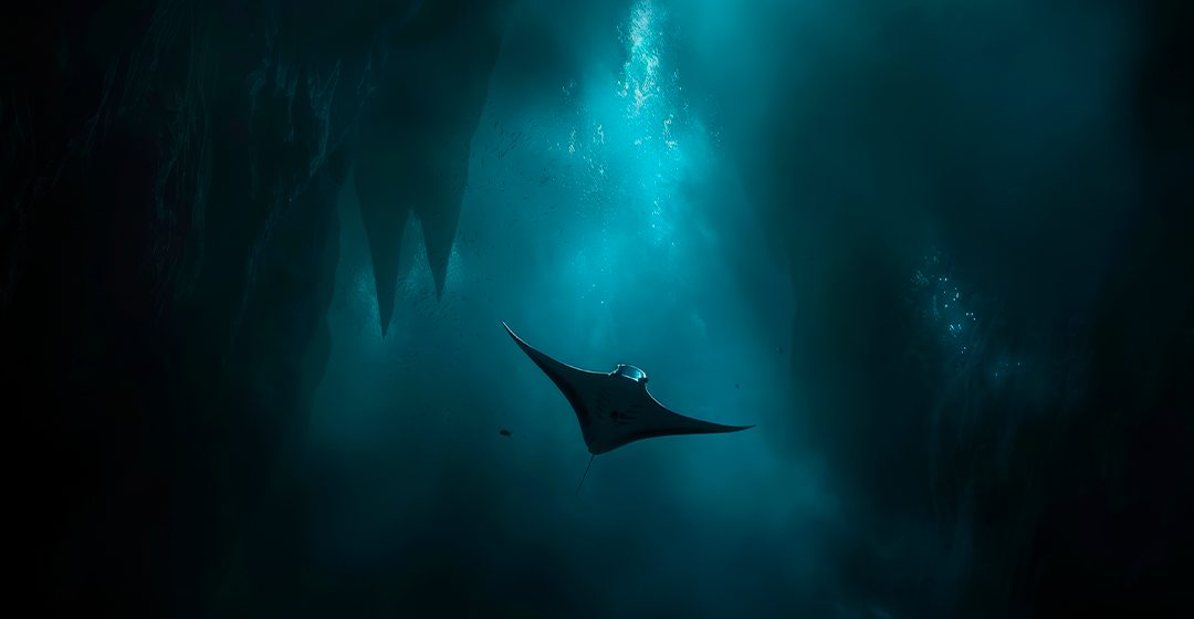 Oxigen al fons de l’oceà