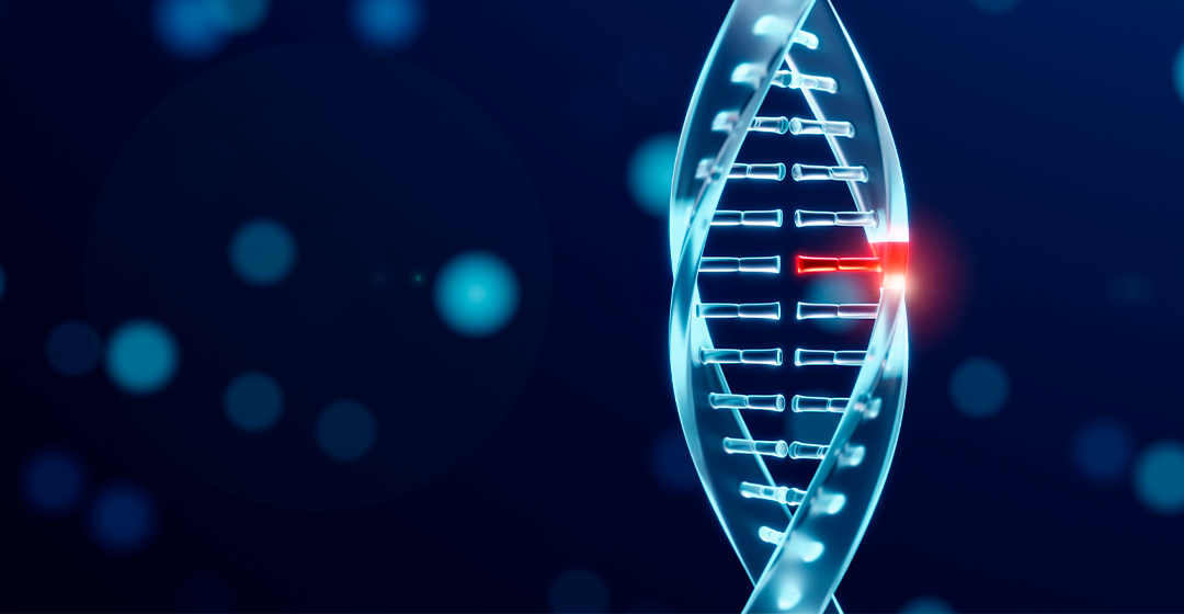 L’asteroide Ryugu revela la presència a l’espai dels “maons” essencials de la vida