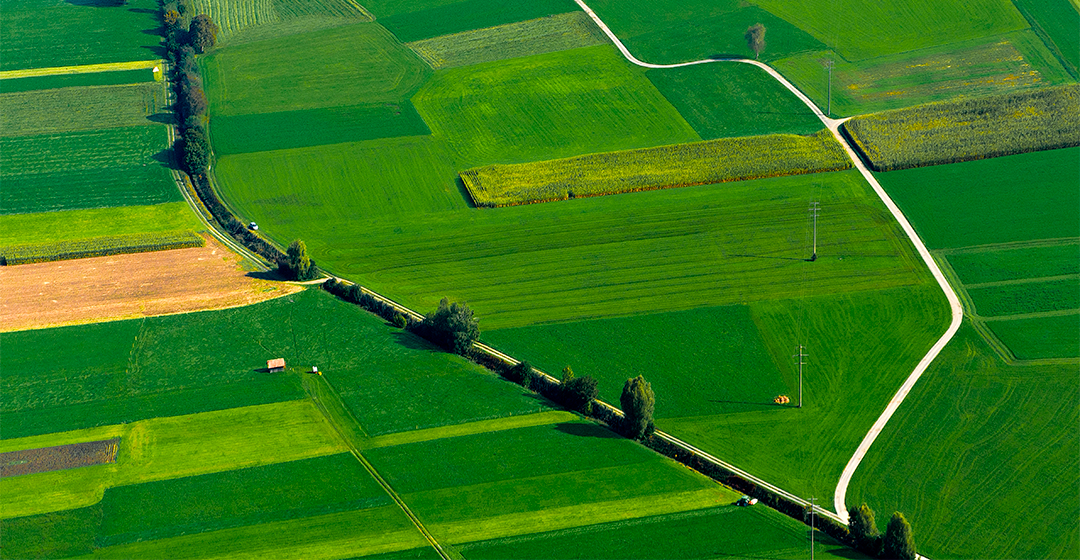 Nova regulació europea sobre cultius modificats genèticament